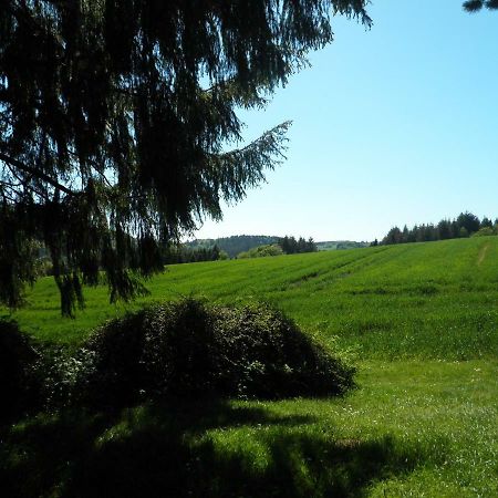 Blick In Die Suedeifel Biersdorf am See Exterior photo